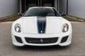 Ferrari 599 GTO - Bianco Avus - 1 of 599 Gris - thumbnail 42