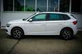 Skoda Kamiq 1,0 TSI Ambition *SITZHEIZUNG*MATRIX-LED* Blanc - thumbnail 5