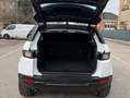 Land Rover Range Rover Evoque 2.0 - NAV. - OTTIME CONDIZONI - Bianco - thumbnail 5