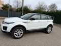 Land Rover Range Rover Evoque 2.0 - NAV. - OTTIME CONDIZONI - Bianco - thumbnail 4