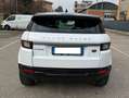 Land Rover Range Rover Evoque 2.0 - NAV. - OTTIME CONDIZONI - Bianco - thumbnail 3