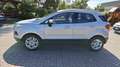 Ford EcoSport 1.5 TDCi Titanium UNICO PROPRIETARIO Grigio - thumbnail 5