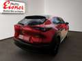 Mazda CX-30 2WD HOMURA TOP Ausstattung Lenkradheizung Rot - thumbnail 13