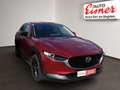 Mazda CX-30 2WD HOMURA TOP Ausstattung Lenkradheizung Rot - thumbnail 16