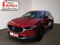 Mazda CX-30 2WD HOMURA TOP Ausstattung Lenkradheizung Rot - thumbnail 2