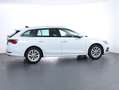 Skoda Octavia Premium TSI Weiß - thumbnail 4