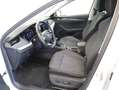 Skoda Octavia Premium TSI Weiß - thumbnail 12