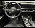Alfa Romeo Stelvio 2.2 TurboDiesel 190cv Super Q4 Grigio - thumbnail 12