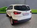 Ford EcoSport Trend 1.5 Ti-VCT+Klimaanlage+Parksensoren+Tagfahrl Blanc - thumbnail 2