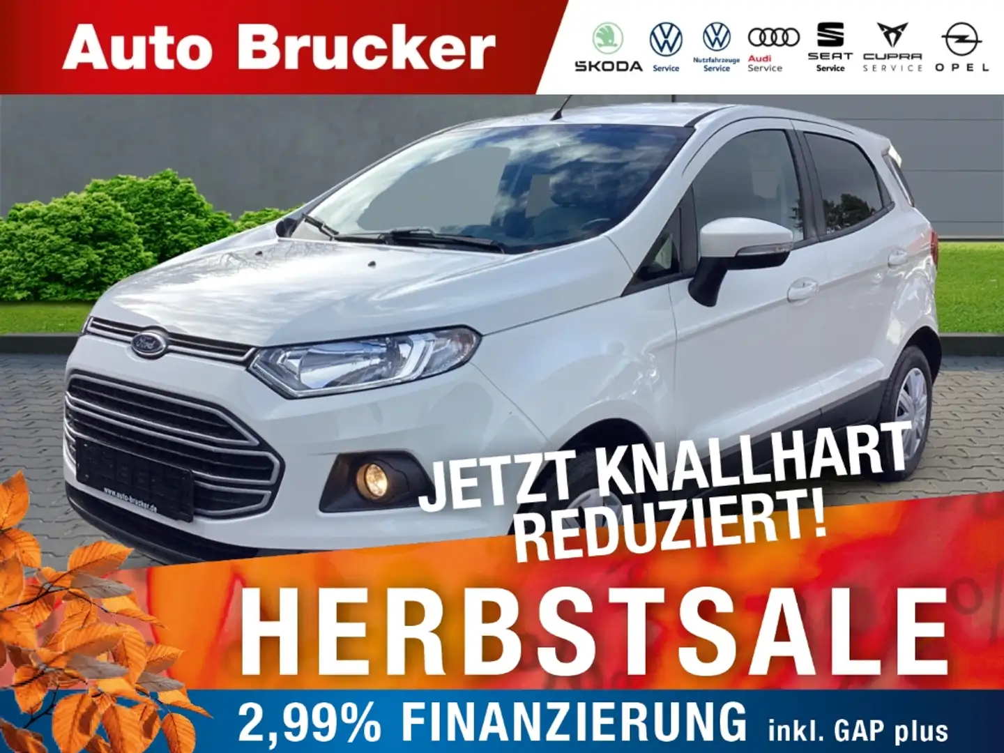 Ford EcoSport Trend 1.5 Ti-VCT+Klimaanlage+Parksensoren+Tagfahrl Wit - 1