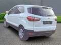 Ford EcoSport Trend 1.5 Ti-VCT+Klimaanlage+Parksensoren+Tagfahrl Wit - thumbnail 2