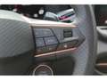 CUPRA Terramar 1.5 TSI DSG e-Hybrid VZ NAVI AHK HUD MATRIX 20 Grau - thumbnail 9