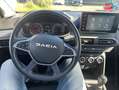Dacia Sandero 1.0 ECO-G 100ch Stepway Expression Camera Blau - thumbnail 17