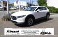 Mazda CX-30 2.5L e-SKYACTIV G 140ps 6MT FWD Centre-line Weiß - thumbnail 1