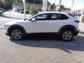 Mazda CX-30 2.5L e-SKYACTIV G 140ps 6MT FWD Centre-line Weiß - thumbnail 12
