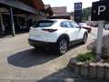 Mazda CX-30 2.5L e-SKYACTIV G 140ps 6MT FWD Centre-line Weiß - thumbnail 6