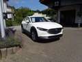Mazda CX-30 2.5L e-SKYACTIV G 140ps 6MT FWD Centre-line Weiß - thumbnail 4