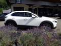 Mazda CX-30 2.5L e-SKYACTIV G 140ps 6MT FWD Centre-line Weiß - thumbnail 5