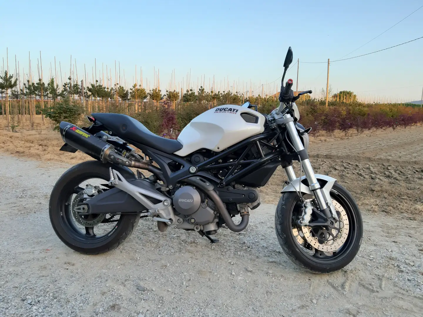 Ducati Monster 696 Blanc - 2