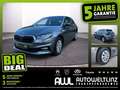 Skoda Fabia 1.0 TSI Selection LED+SHZ+LM+PDC+ParkAss Grau - thumbnail 1