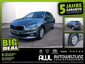 1.0 TSI Selection LED+SHZ+LM+PDC+ParkAss