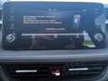 Skoda Fabia 1.0 TSI Selection LED+SHZ+LM+PDC+ParkAss Grau - thumbnail 19