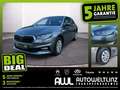 Skoda Fabia 1.0 TSI Selection LED+SHZ+LM+PDC+ParkAss Grau - thumbnail 1