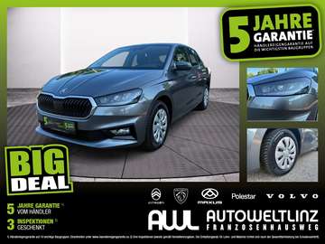 1.0 TSI Selection LED+SHZ+LM+PDC+ParkAss