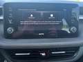 Skoda Fabia 1.0 TSI Selection LED+SHZ+LM+PDC+ParkAss Grau - thumbnail 29