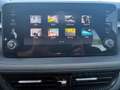 Skoda Fabia 1.0 TSI Selection LED+SHZ+LM+PDC+ParkAss Grau - thumbnail 19