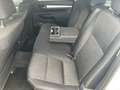 Toyota Hilux Double Active DK 4x4 Aut. AHK, Rollo, netto 41.600 Weiß - thumbnail 9