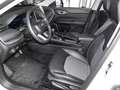 Jeep Compass Altitude Mild-Hybrid Sicherheits Winter Premium-Pa Weiß - thumbnail 13