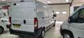 Fiat Ducato bestel 33 2.3 MultiJet L3H2 Wit - thumbnail 3