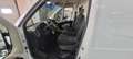 Fiat Ducato bestel 33 2.3 MultiJet L3H2 Wit - thumbnail 14