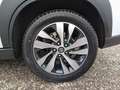 Suzuki S-Cross 1,5 Strong Hybrid ALLGRIP 6AGS shine Aut. Weiß - thumbnail 11