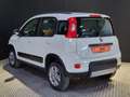 Fiat Panda 1.3 75cv Diésel 4x4 E5+ Blanc - thumbnail 4