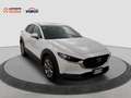 Mazda CX-30 2.0 Skyactiv-G M Hybrid Executive Wit - thumbnail 7