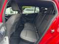 Ford Focus 1.0 Hybride ST Line X - 1e eigenaar - winterpakket Rood - thumbnail 25