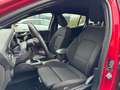Ford Focus 1.0 Hybride ST Line X - 1e eigenaar - winterpakket Rood - thumbnail 23
