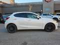 Mazda 2 e-SKYACTIV G 1.5 66kW (90CV) MT Origin Weiß - thumbnail 8