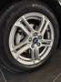 Ford Focus Focus 1.5 ecoblue Business 120cv Nero - thumbnail 4