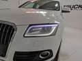 Audi Q5 Q5 2.0 tdi Advanced Plus quattro 177cv s-tronic White - thumbnail 7