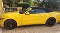 Ford Mustang Mustang 2,3 EcoBoost Cabrio Aut. Grau - thumbnail 1