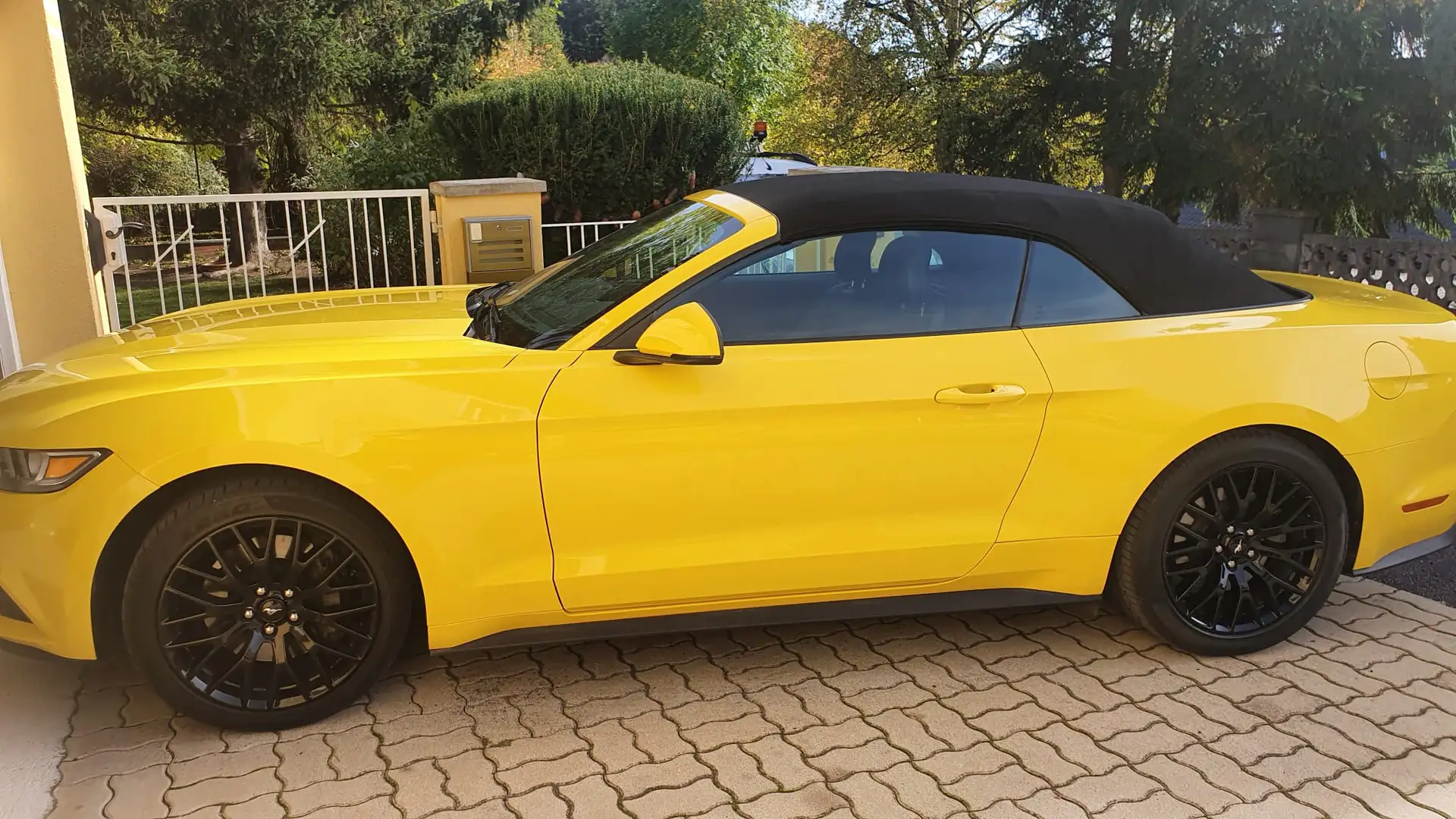 Ford Mustang Mustang 2,3 EcoBoost Cabrio Aut. Grau - 1