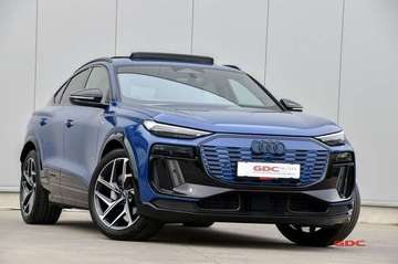 Q6 e-Tron Sportback S line I Airsus I Trekhaak