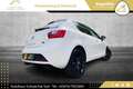SEAT Ibiza 1,0 TSI FR DSG //1.BESITZ//KLIMA//TEMPOMAT//PDC// Weiß - thumbnail 12