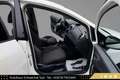 SEAT Ibiza 1,0 TSI FR DSG //1.BESITZ//KLIMA//TEMPOMAT//PDC// Weiß - thumbnail 8