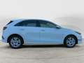 Kia Ceed / cee'd Ceed 1.5 T-GDI DCT Vision NAVI RFK PDC Weiß - thumbnail 6