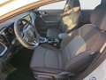 Kia Ceed / cee'd Ceed 1.5 T-GDI DCT Vision NAVI RFK PDC Weiß - thumbnail 12