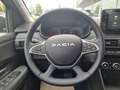 Dacia Sandero Stepway Expression AUTOMATIK LED KAMERA Grigio - thumbnail 13